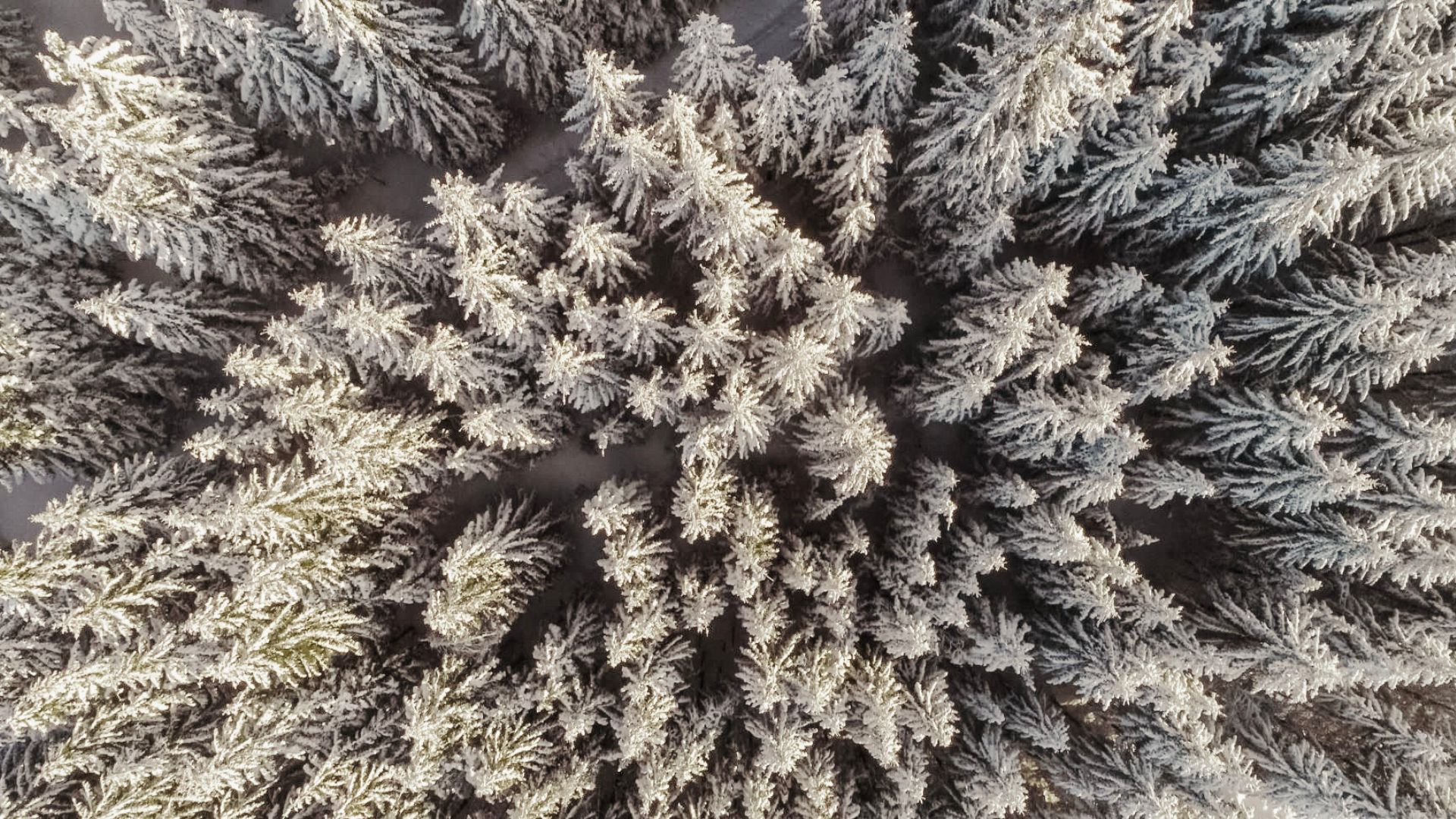 Winter im Hotel Held